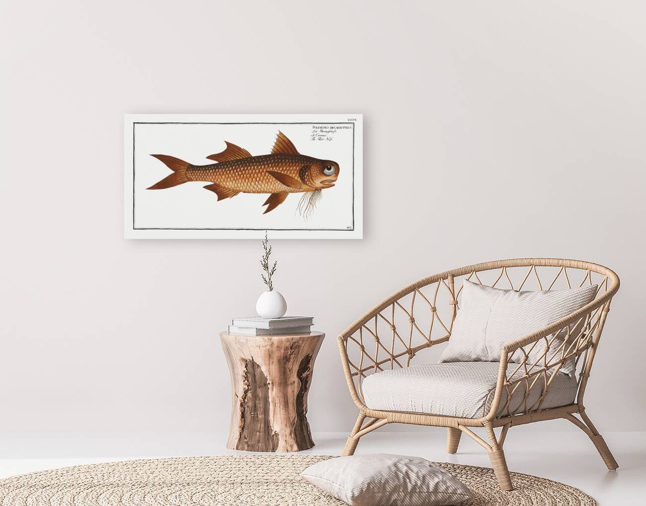 Flat-Nose Polynemus decadactylus Reproduction