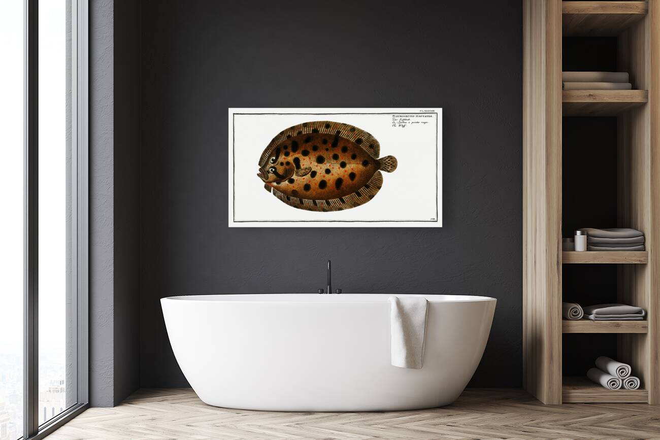 Whiff Pleuronectes punctatus Reproduction