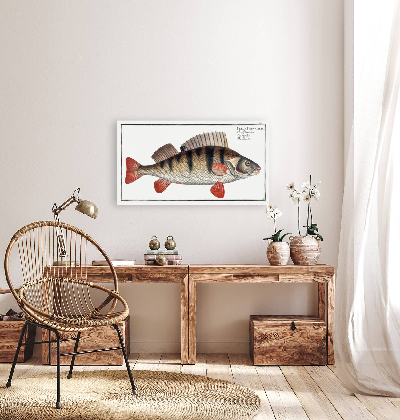 Perch Perca Fluviatilis Reproduction