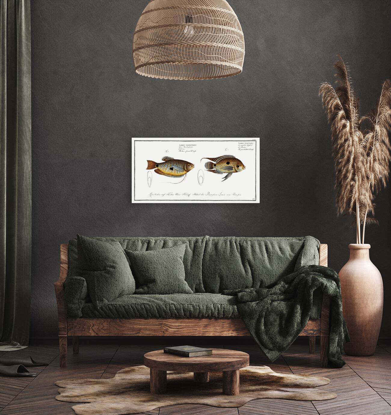 1. Punctulated Wrasse Labrus punctatus 2. Hair-finned Wrasse Labrus trichonterus Reproduction