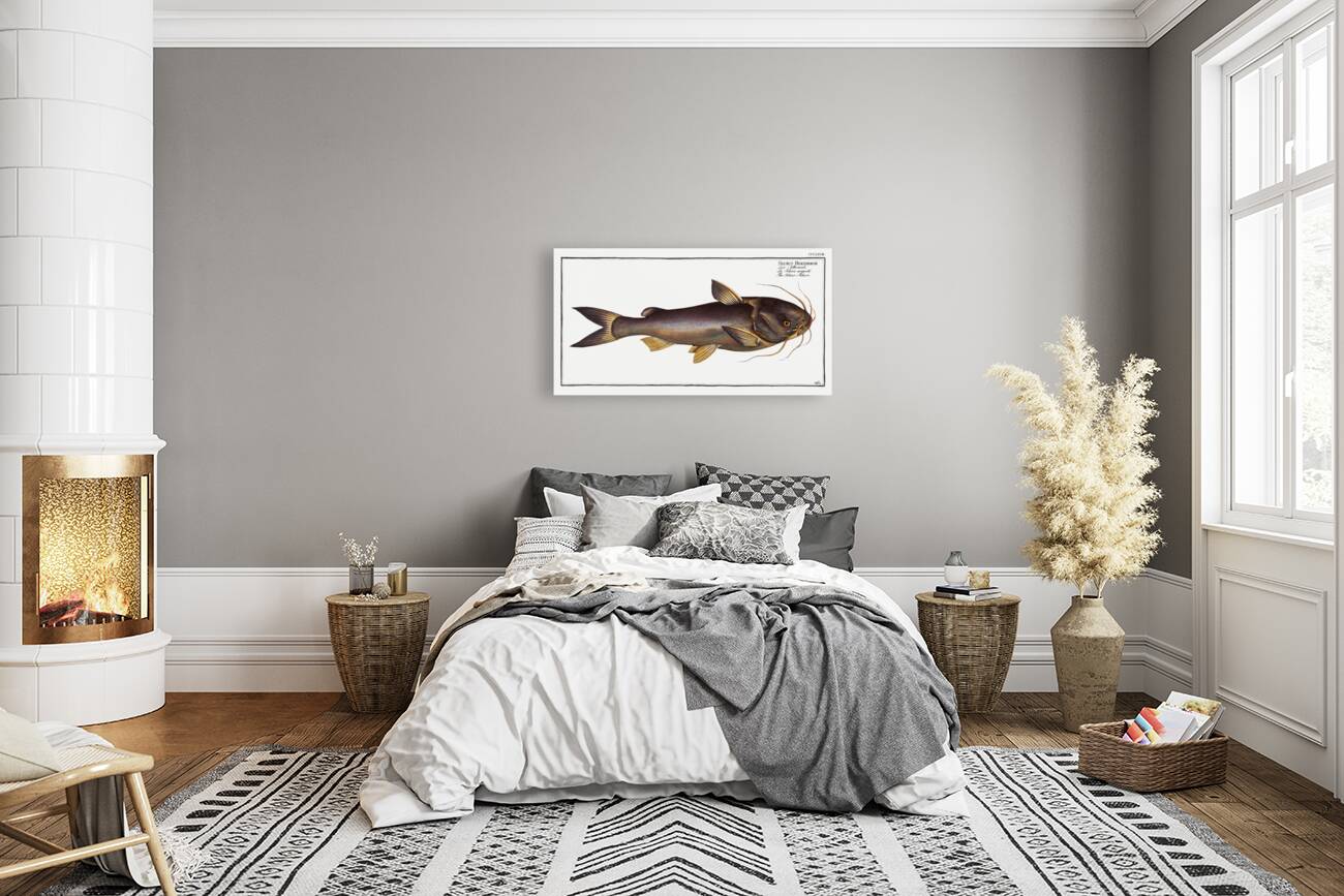 Silver-Silure Silurus Herzbergii Reproduction