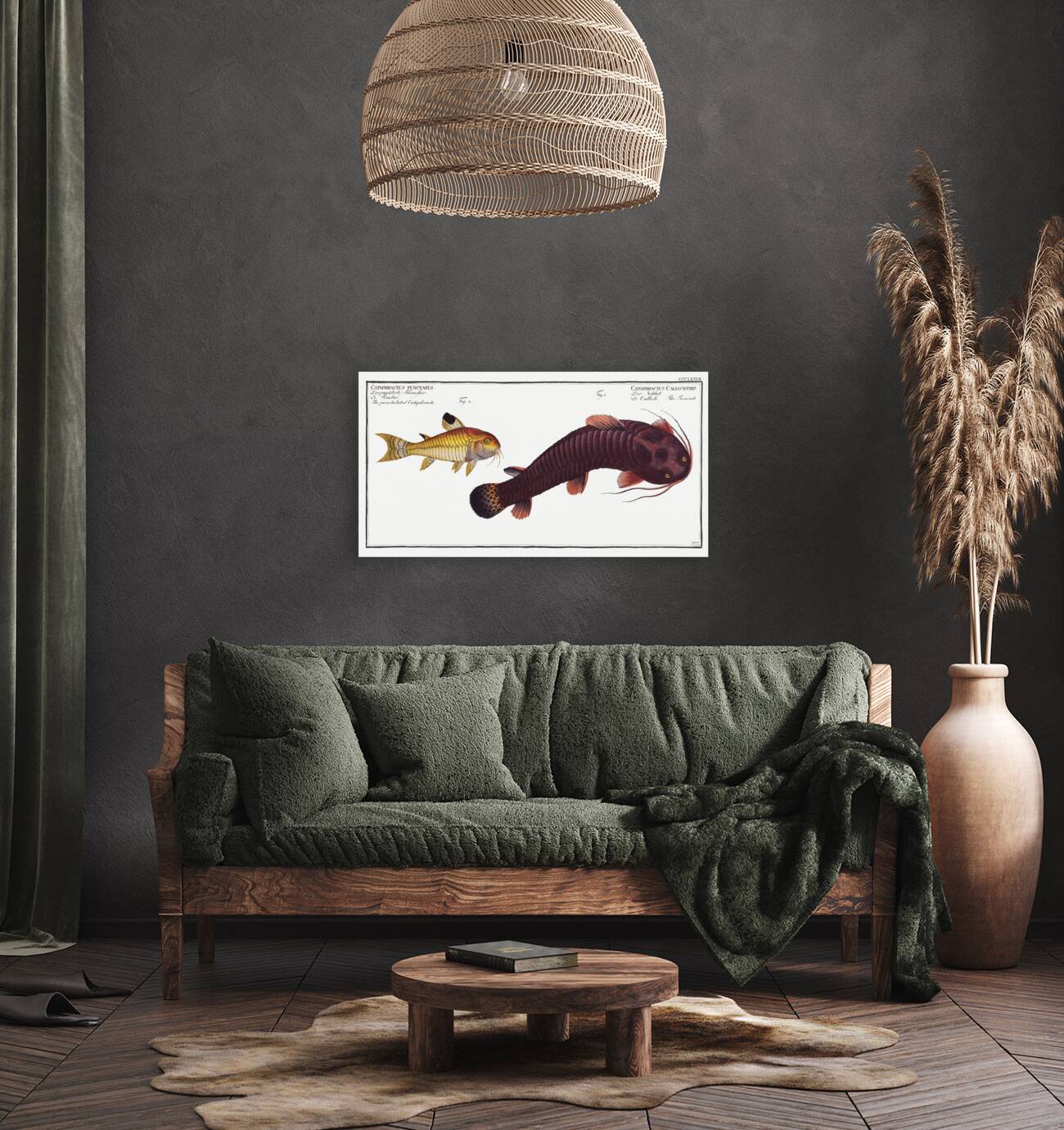 1. Tamoate Cataphractus Callychthis 2. Punctulated Cataphracte Cataphractus punctatus Reproduction