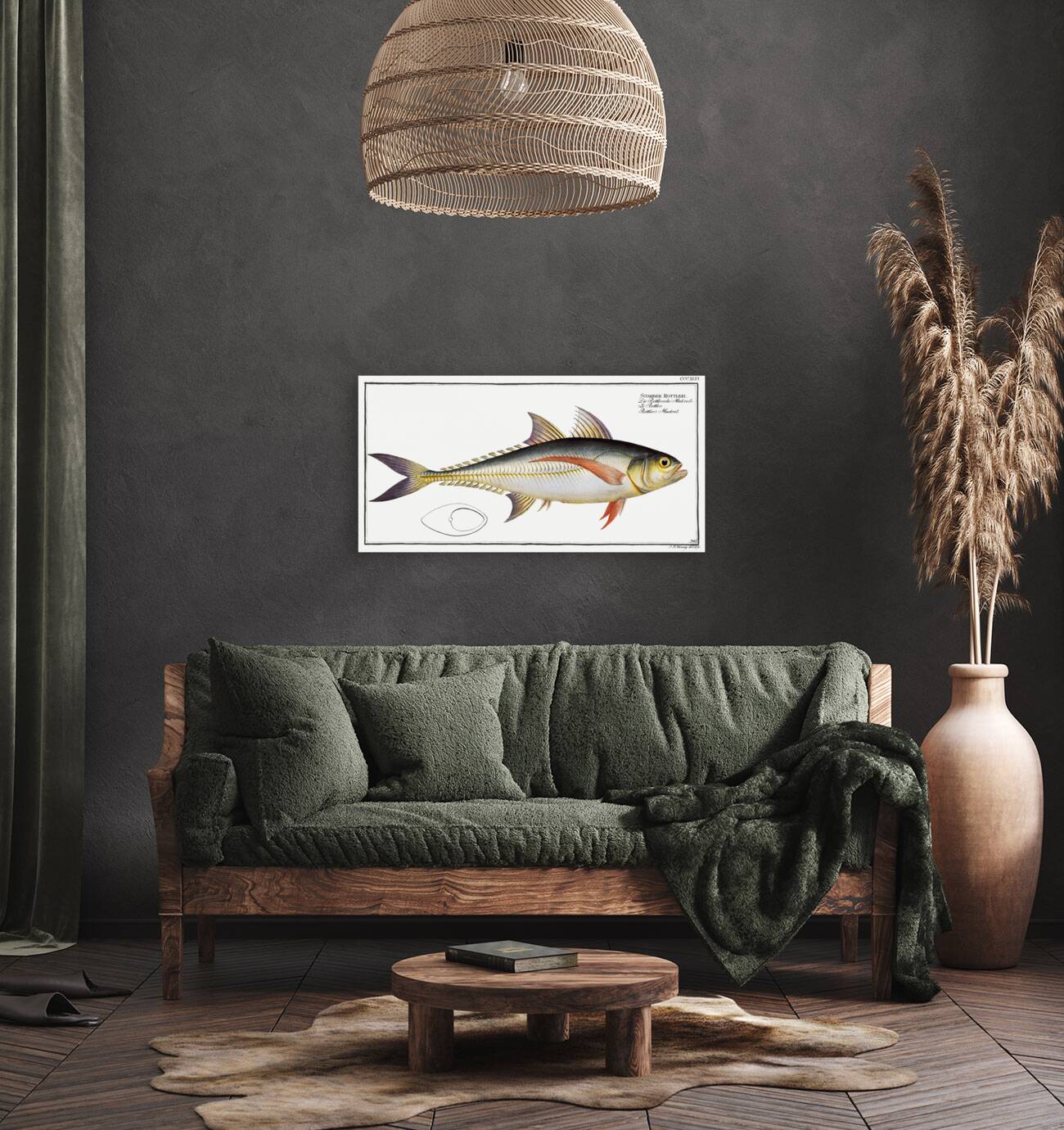 Rottlers Mackrel Scomber Rottleri Reproduction