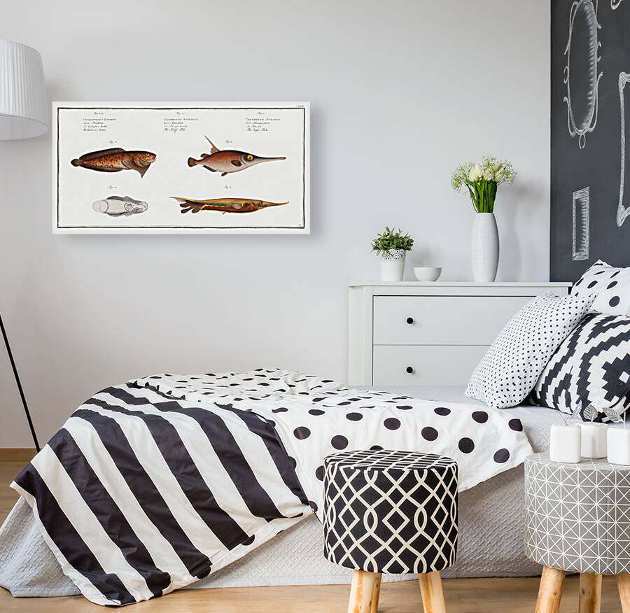 1. Snipe-Fish Centriscus Scolopax 2. Knife Fish Centriscus Scutatus 3. 4. Unctuous Sucker Cyclopterus Liparis Reproduction