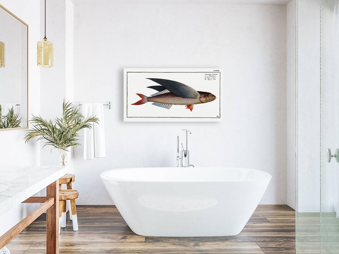 Flying-Fish Exocoetus evolans Reproduction