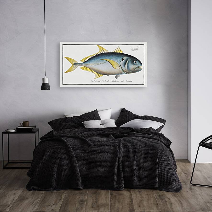 Carangoe Scomber Carangus Reproduction