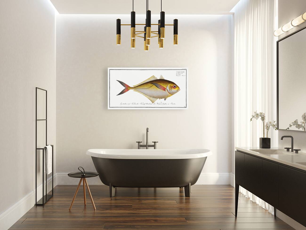 Green Mackrel Scomber Chloris Reproduction