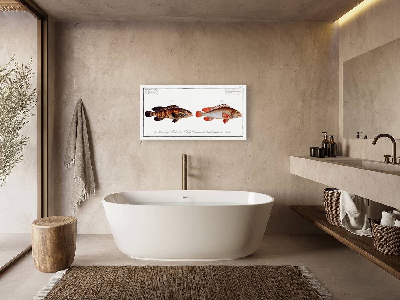 1. Bordered Wall-eye Epinephelus marginalis 2. Brown Wall-eye Epinephelus bruneus Reproduction