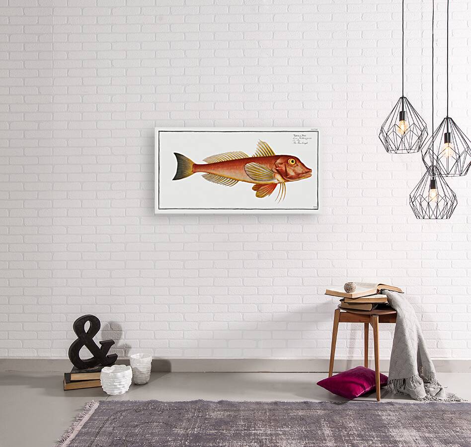 Pine-bough Trigla Pini Reproduction