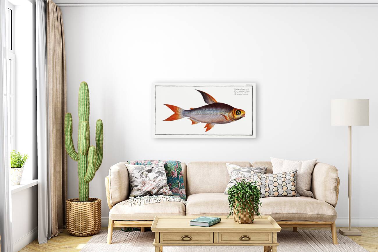 Toothless Salmon Salmo edentulus Reproduction