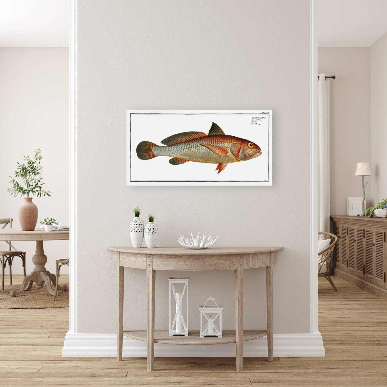 Aney Johnius Aneus Reproduction