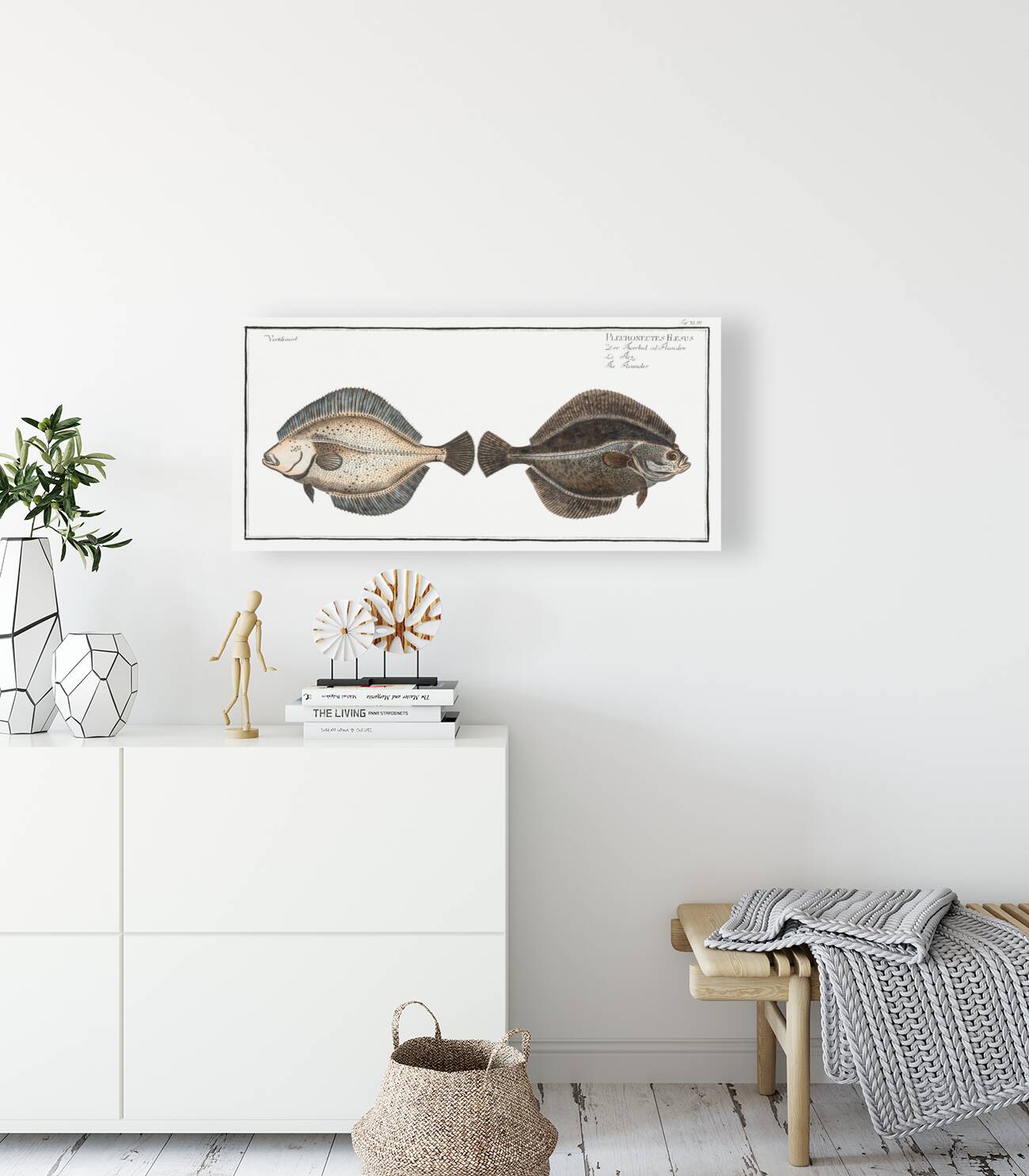 Flounder Pleuronectes Flesus Reproduction