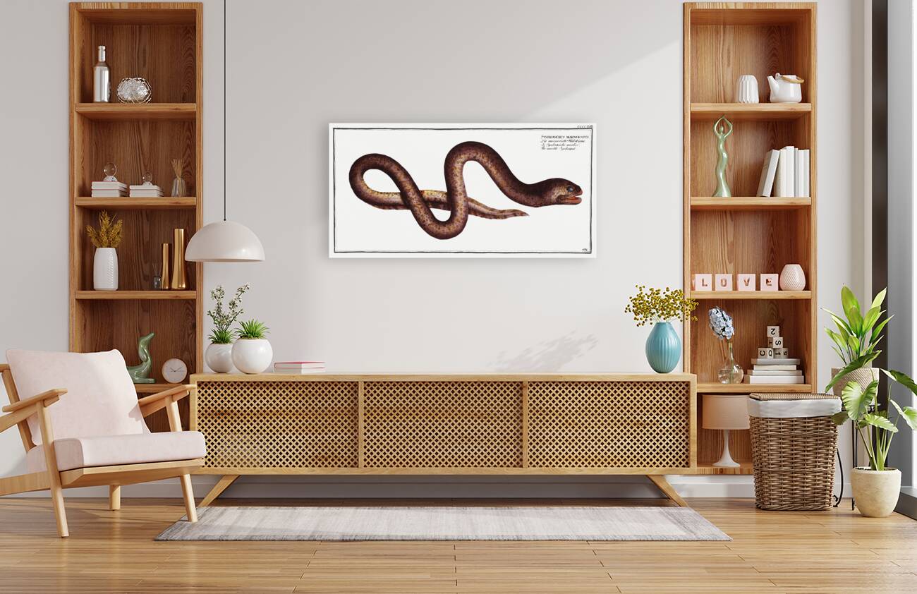 Marble Synbrant Synbranchus marmoratus Reproduction