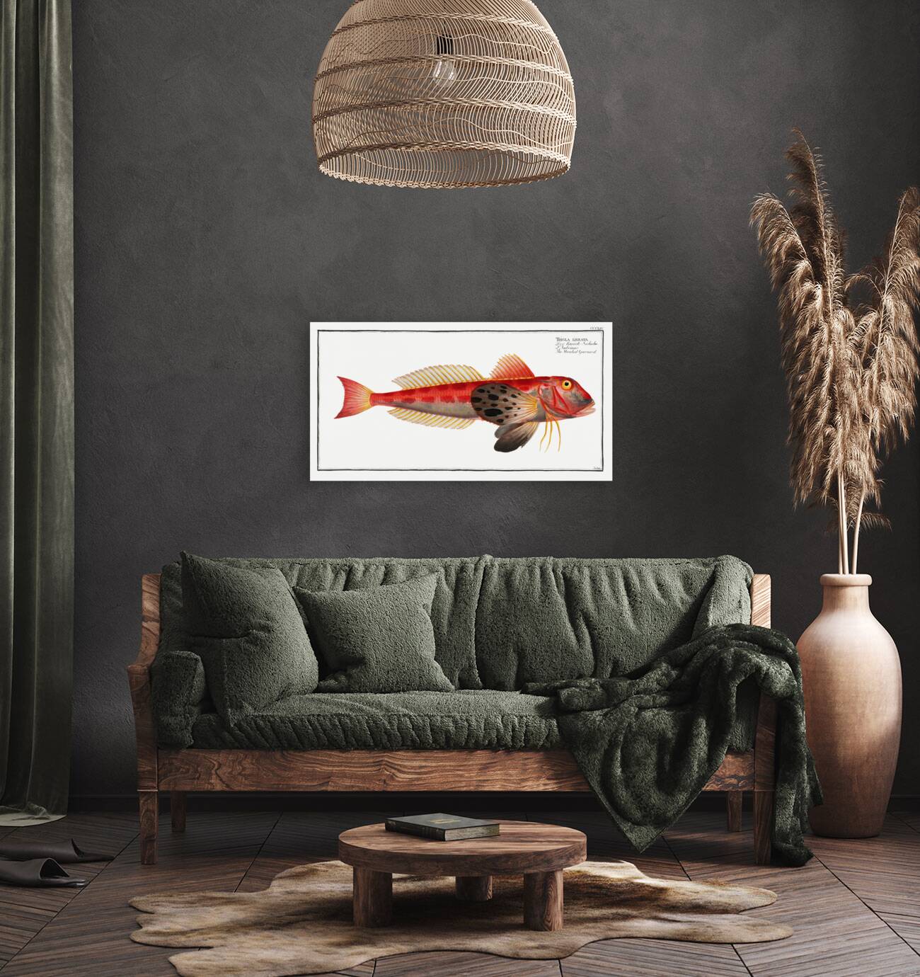 Streaked Gurnard Trigla lineata Reproduction