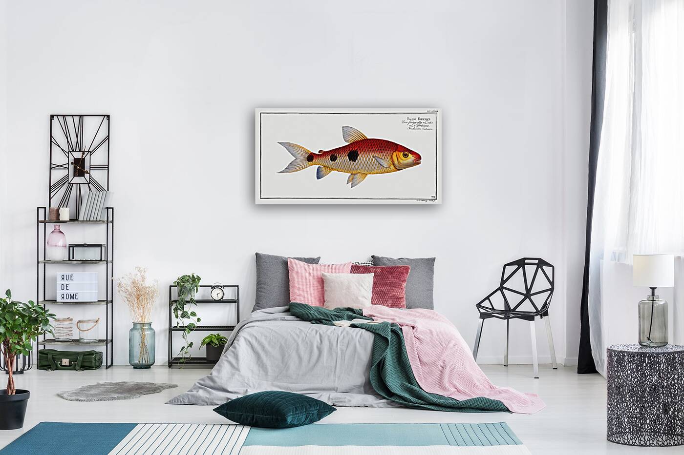 Frederics Salmon Salmo Friderici Reproduction