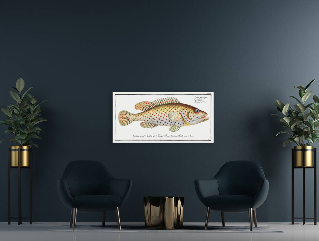 Dropped Perch Perca maculata Reproduction