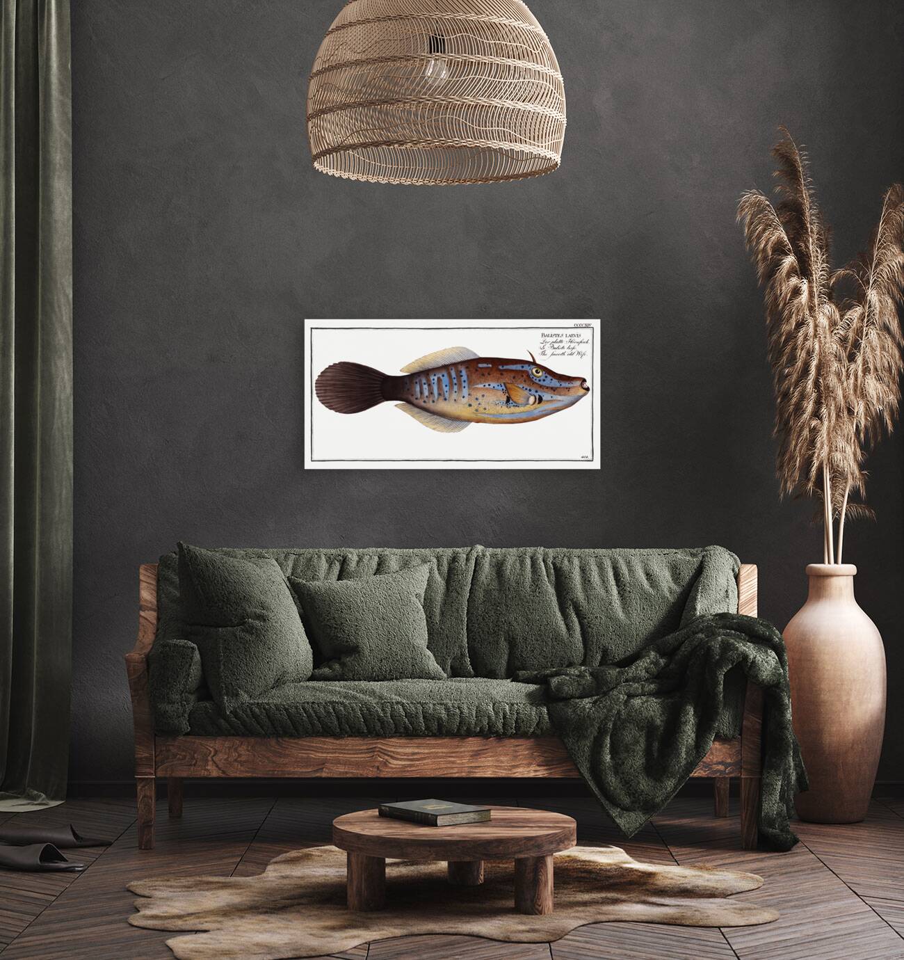 Smooth old Wife Balistes laevis Reproduction