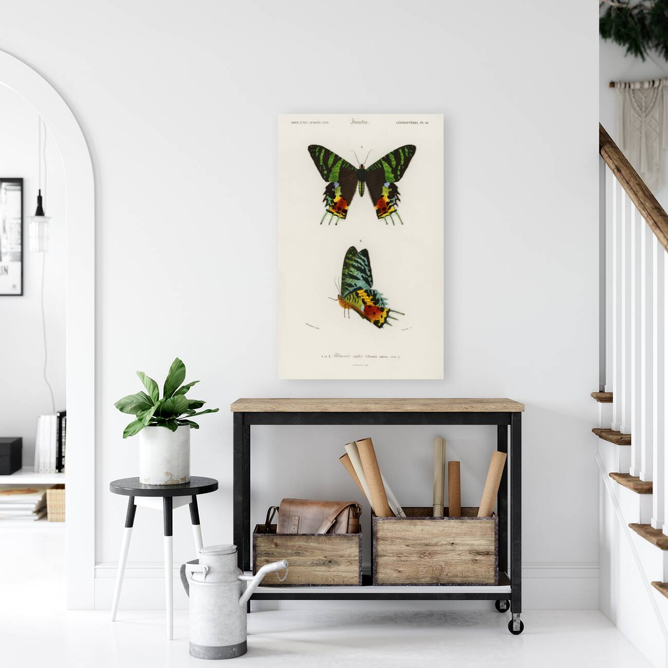 Madagascan Sunset Moth Urania Riphaeus Reproduction