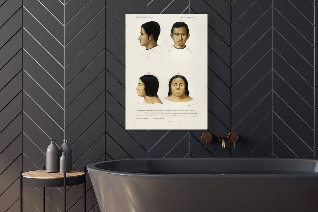 Human race Reproduction