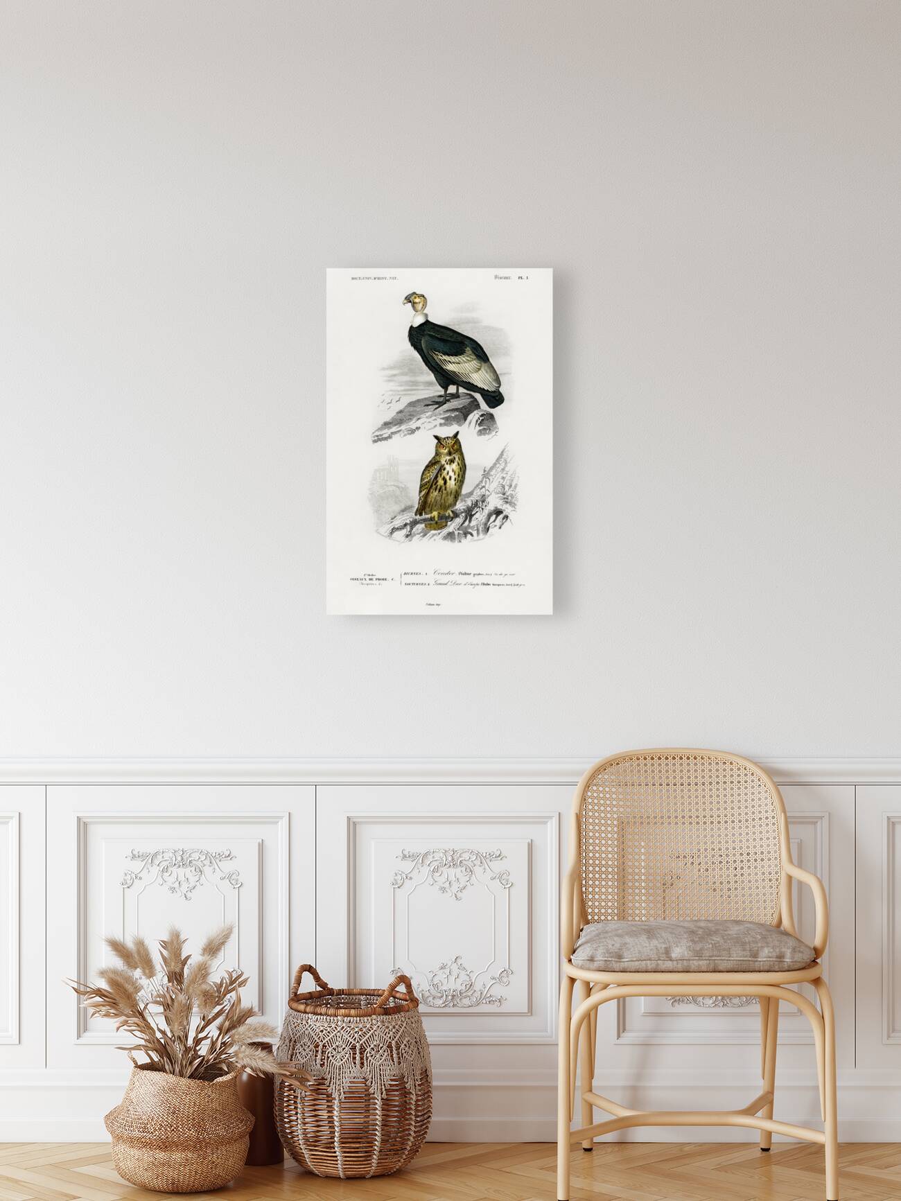 European Hedgehog Erinaceus Europaeus and Common Treeshrew Tupaia Glis Reproduction