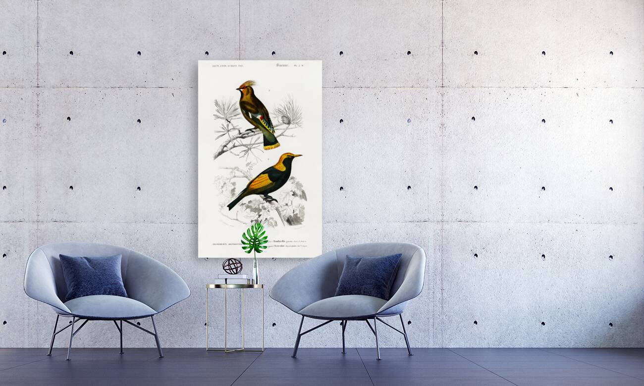 Different types of birds Reproduction