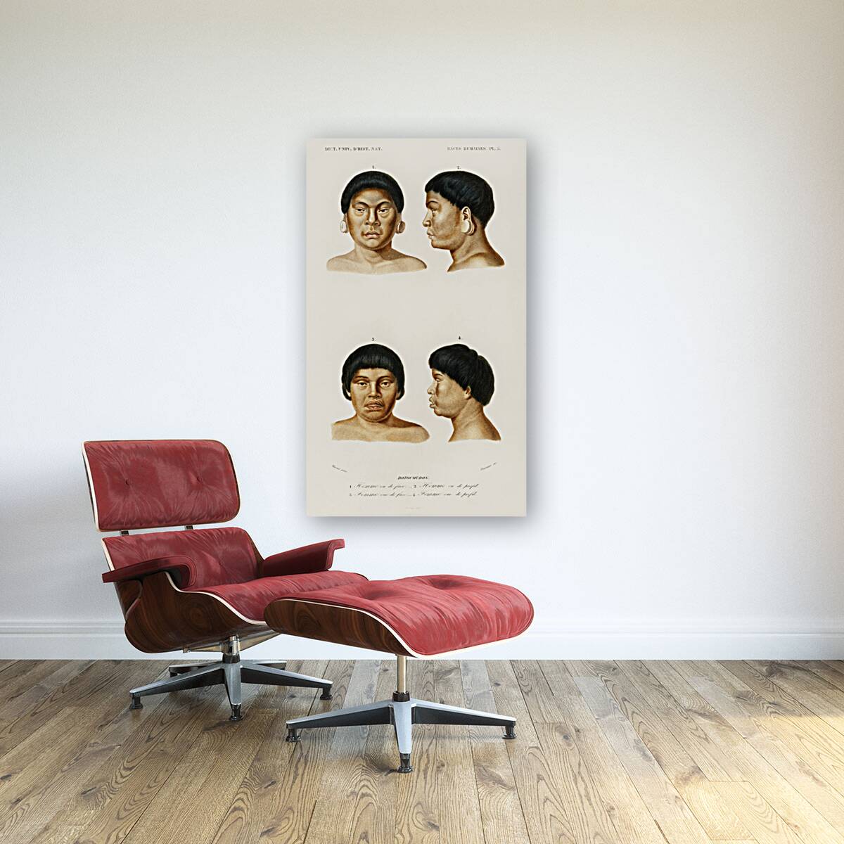 Human race Reproduction