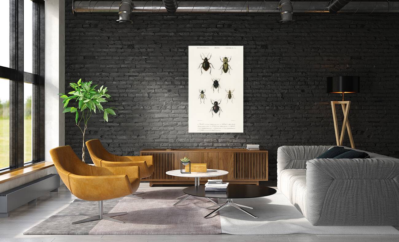 Different types of beetles Reproduction