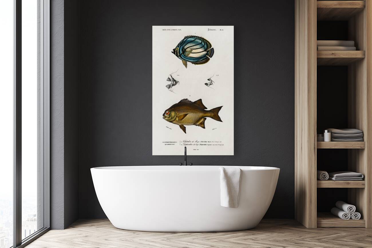 Different types of fishes Reproduction