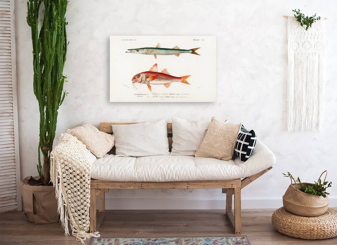 Different types of fishes Reproduction