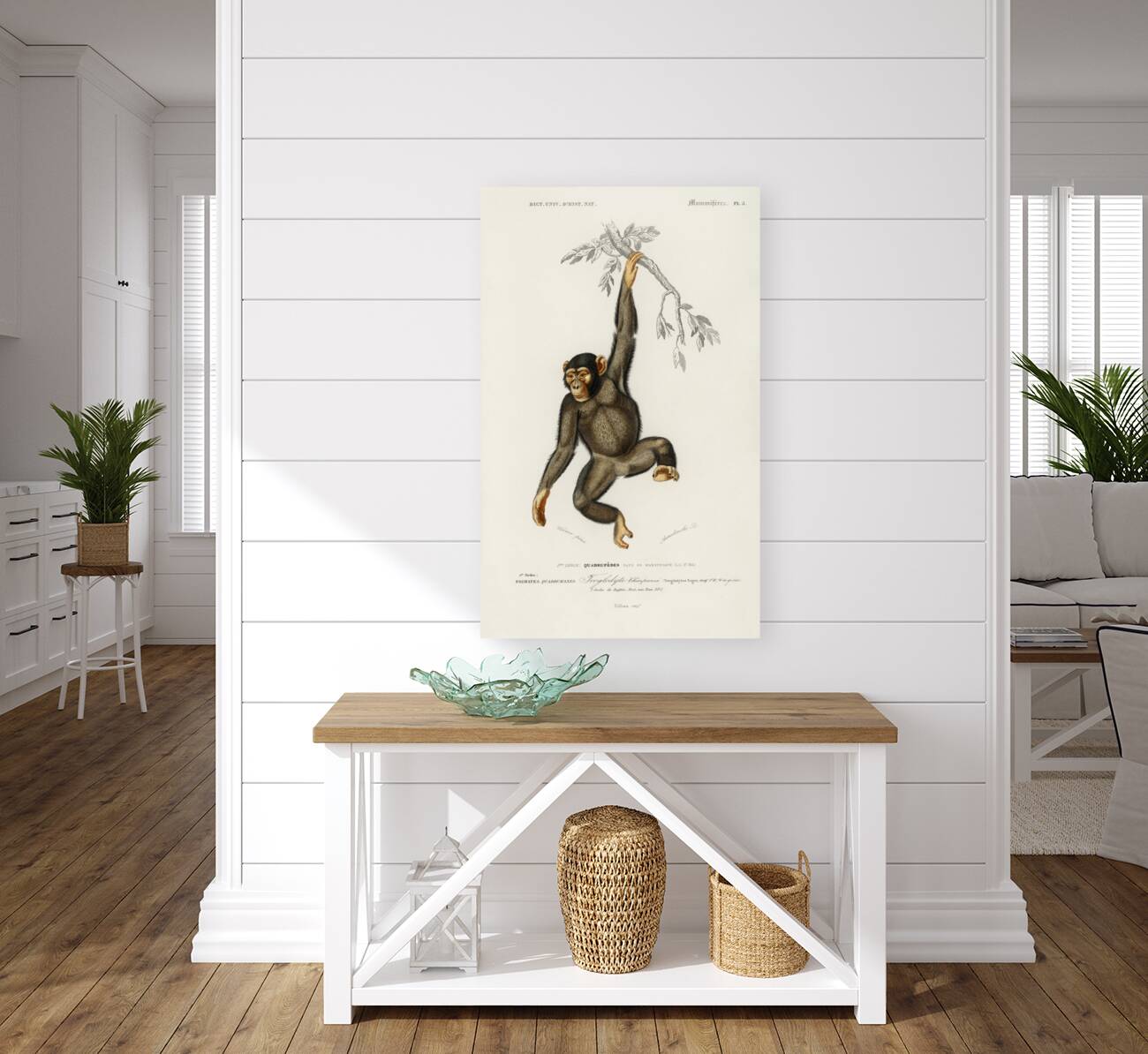 Vintage monkey poster Reproduction