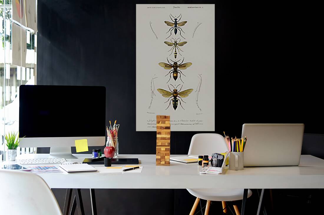 Different types of wasps Reproduction