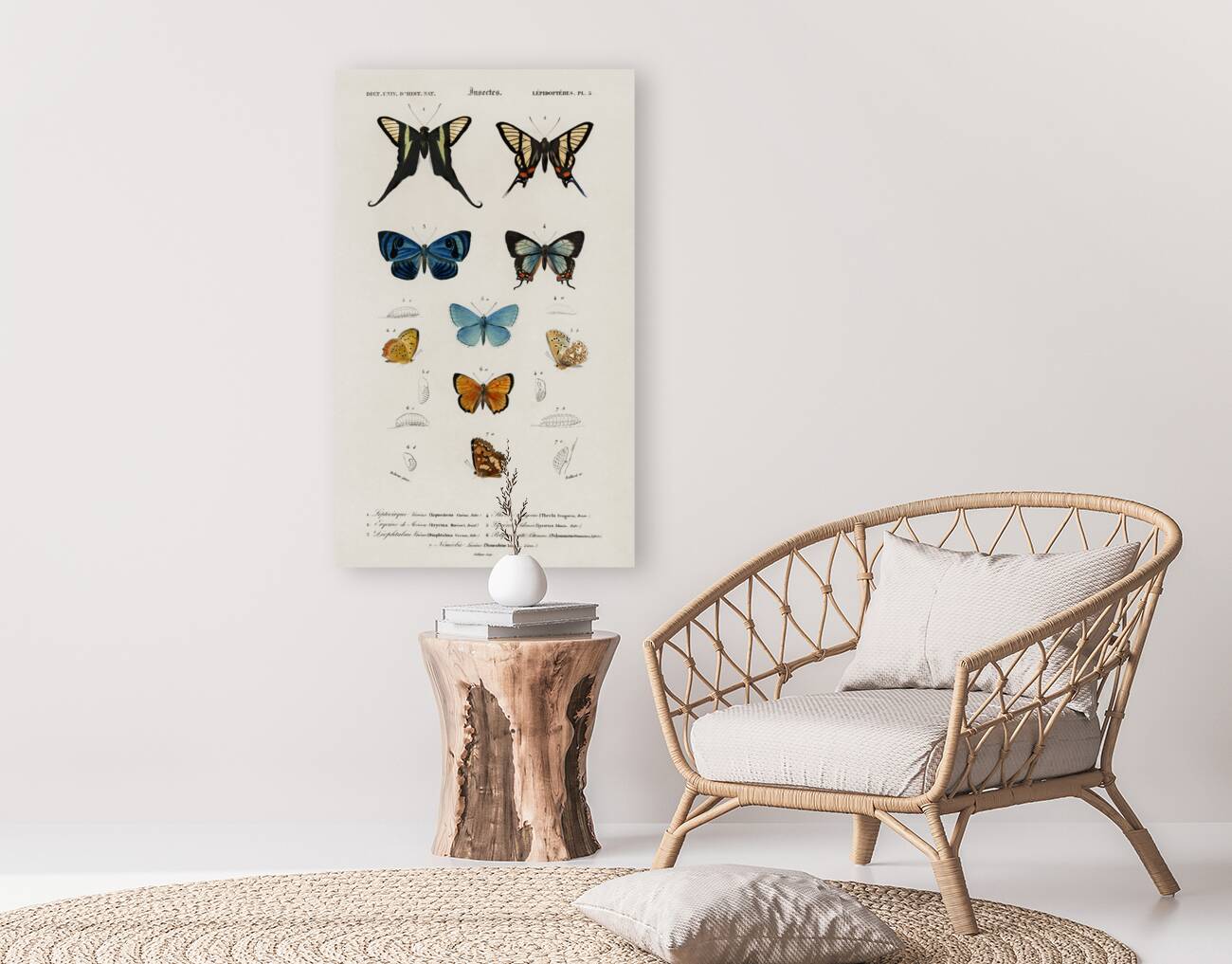 Different types of wasps Reproduction