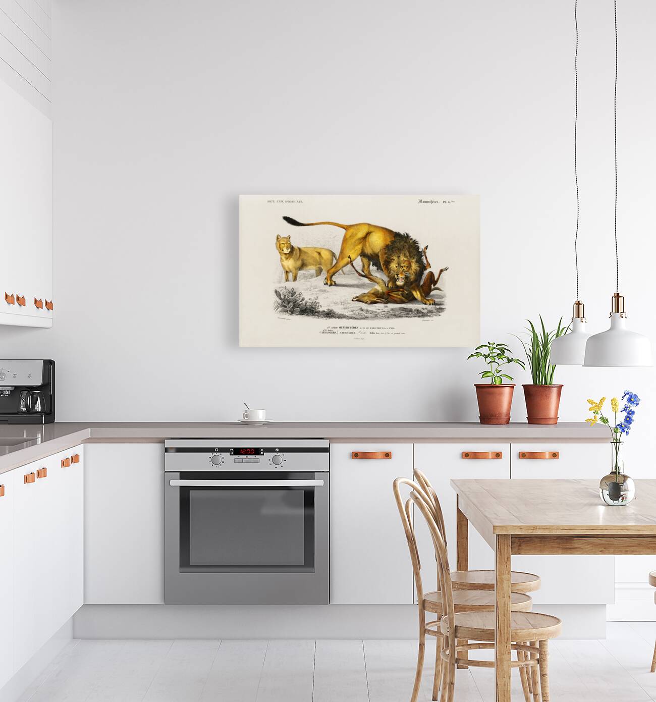 Lion Panthera Leo Reproduction