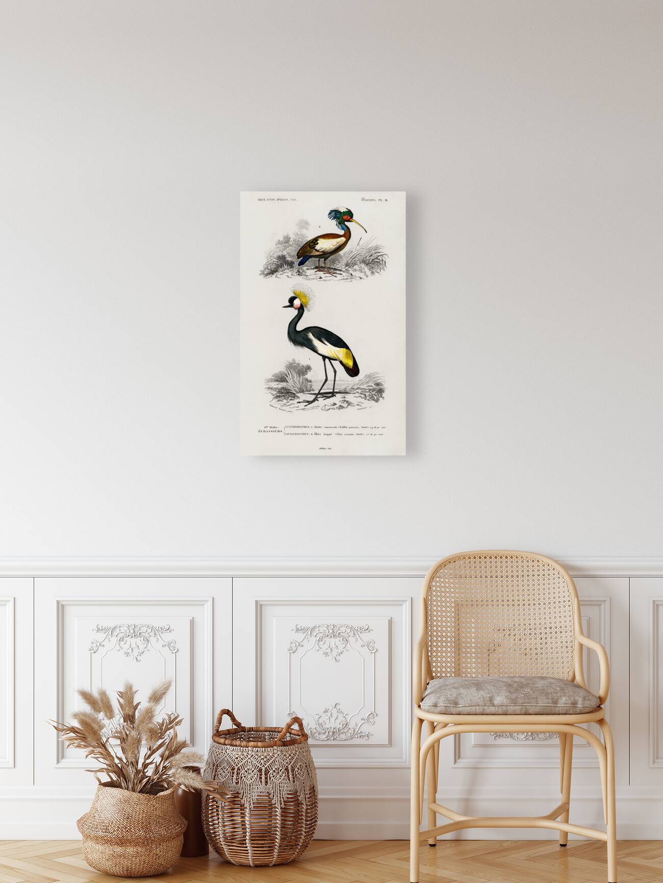 Different types of birds Reproduction