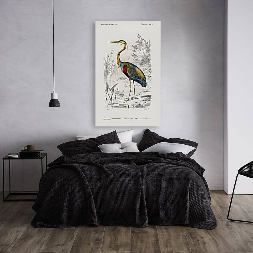 Purple heron Ardea purpurea Reproduction