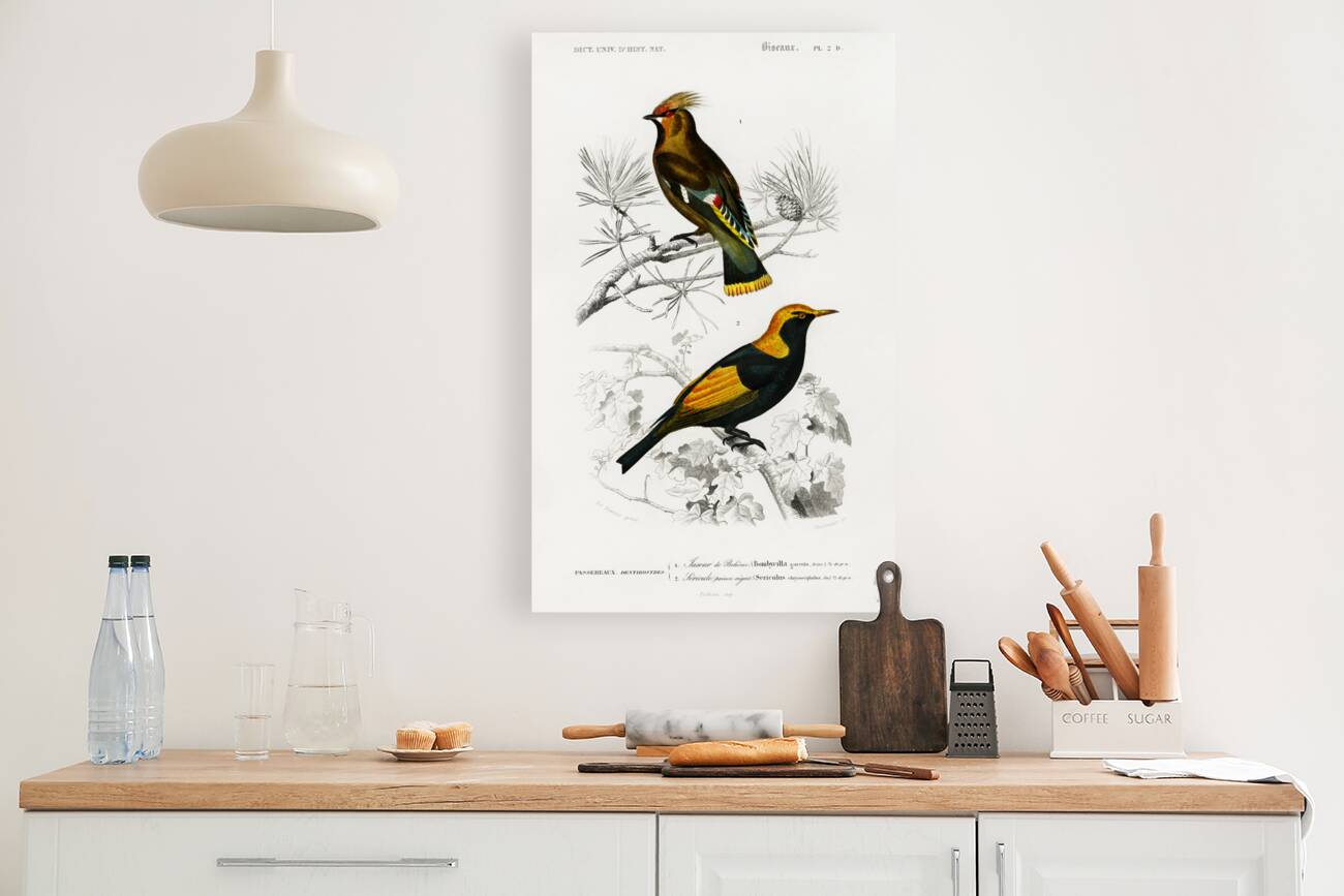 Different types of birds Reproduction