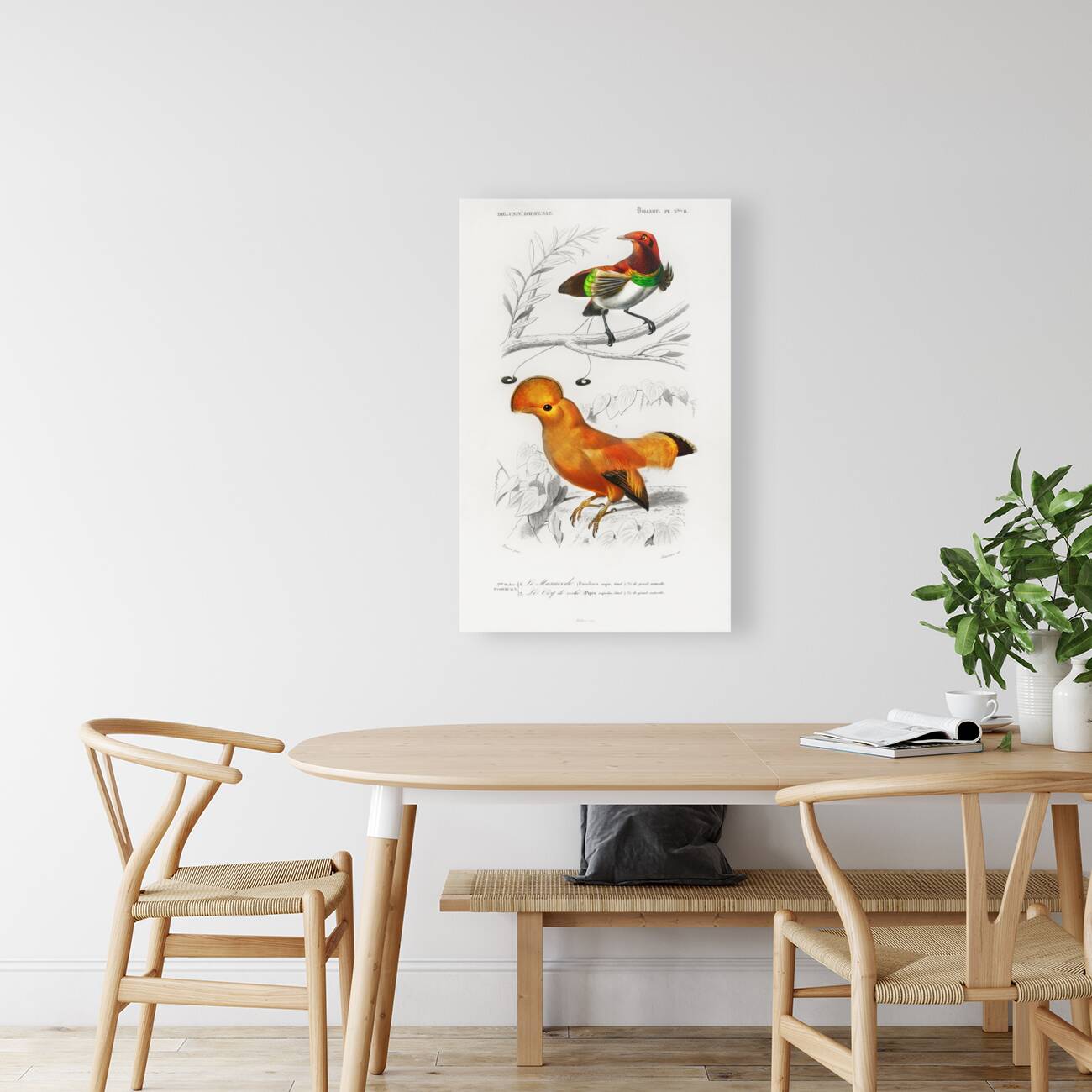 Different types of birds Reproduction