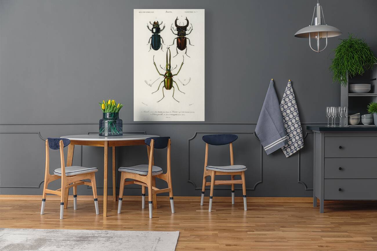 Different types of beetles Reproduction