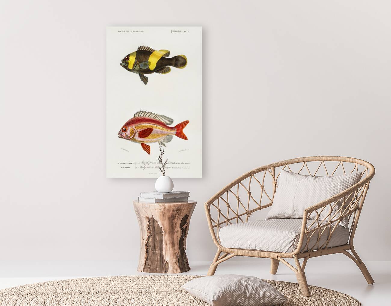 Different types of fishes Reproduction