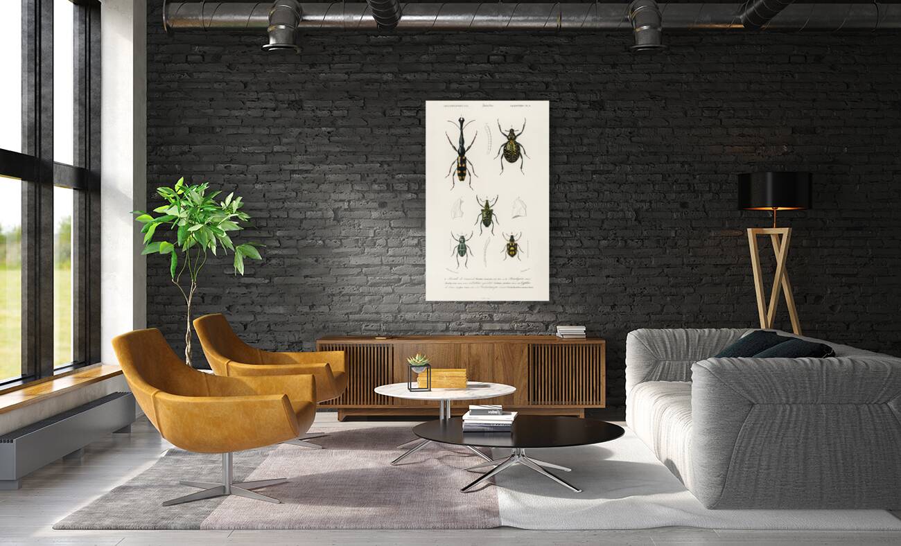 Different types of insects Reproduction