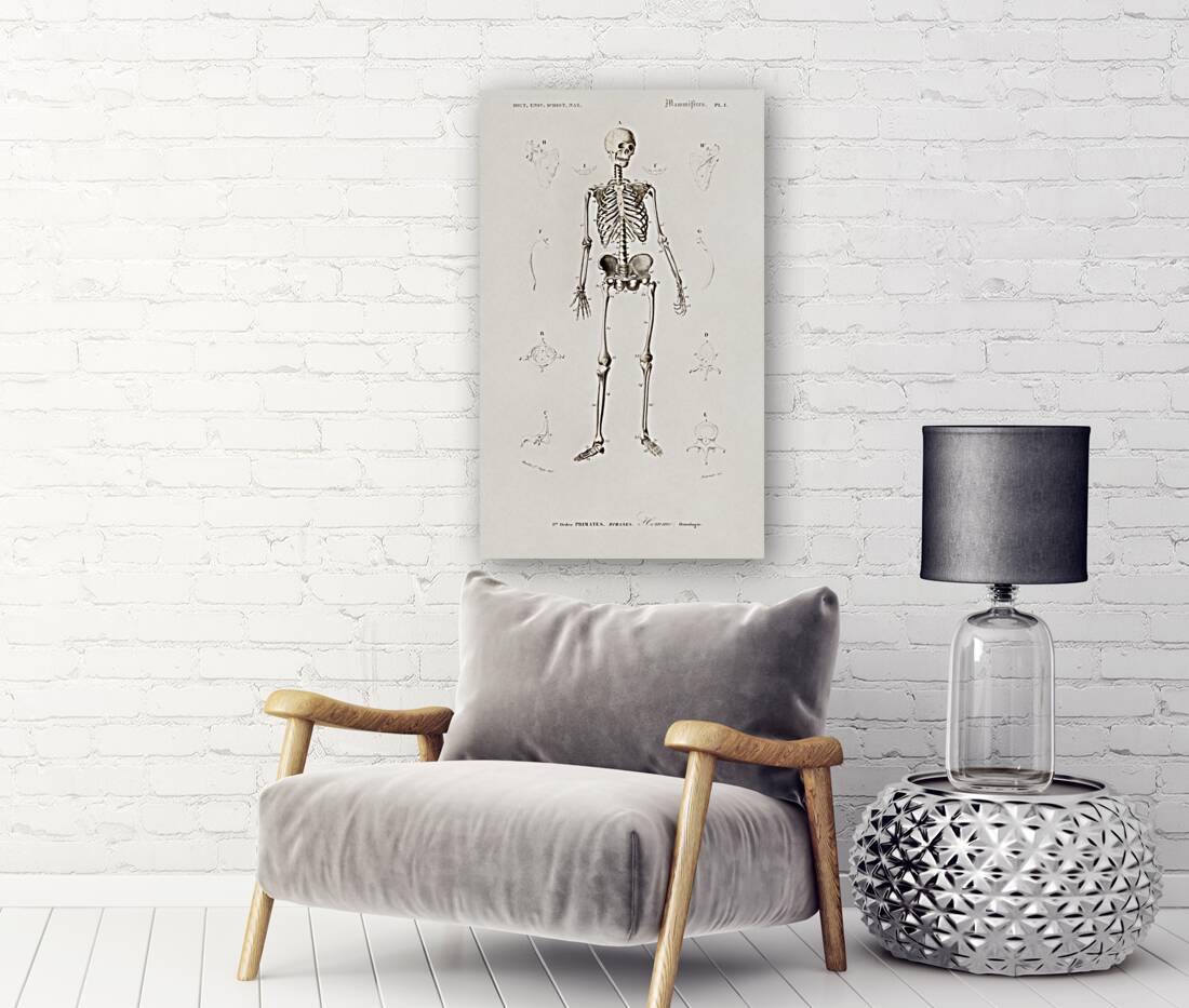 Different types of beetles Reproduction