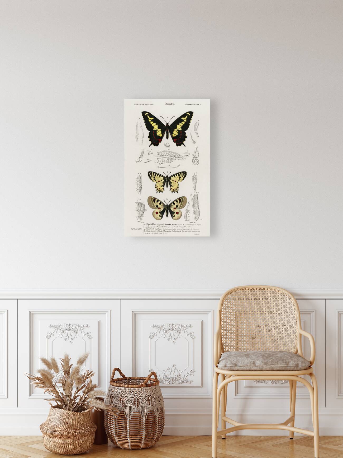 Different types of beetles Reproduction