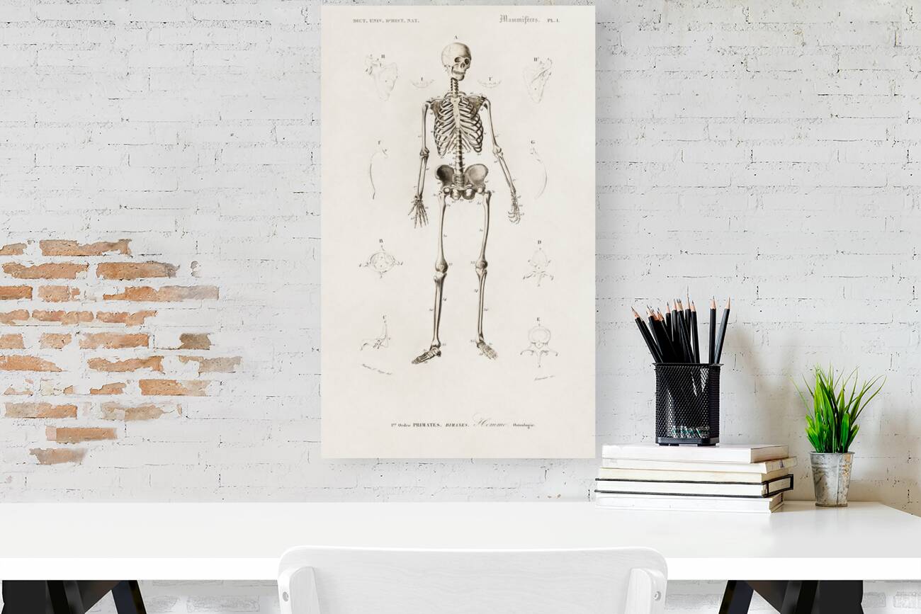 Different types of birds Reproduction