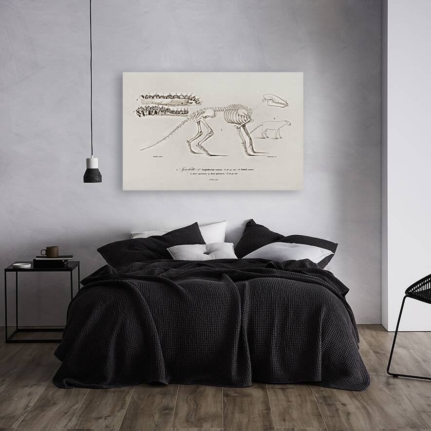 Ungulate Anoplotherium Reproduction