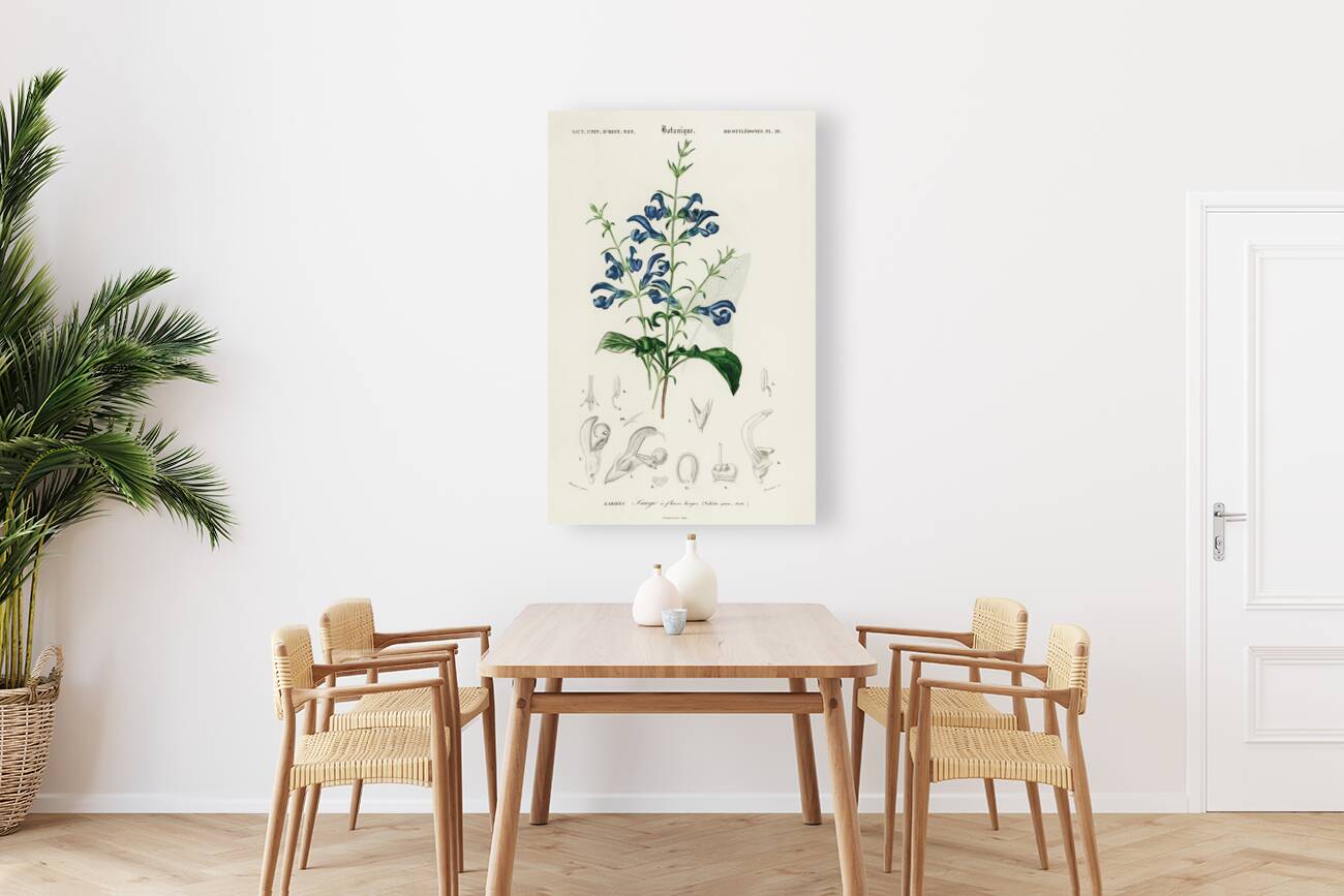 Collection of moths Reproduction