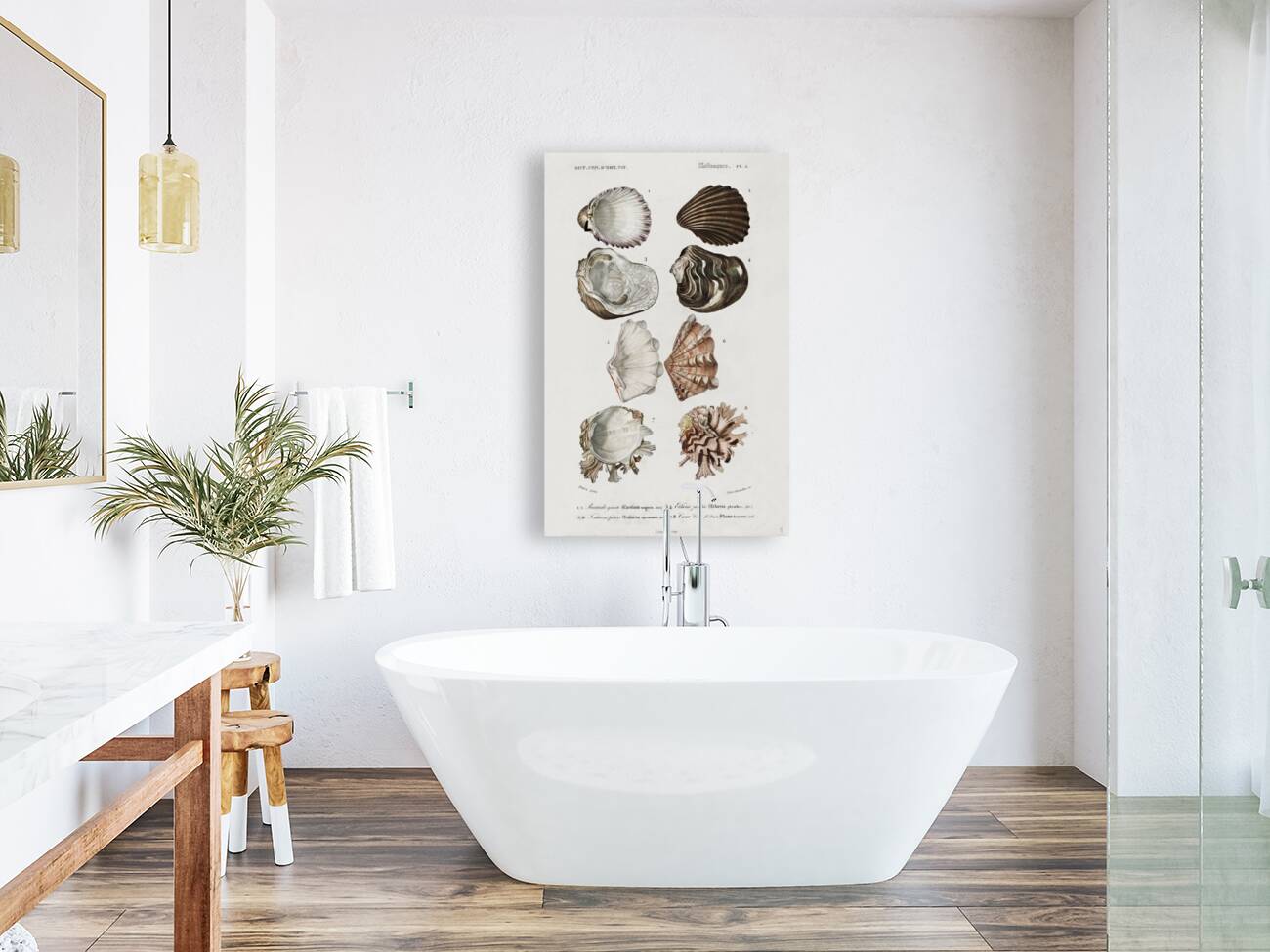 Different types of mollusks Reproduction