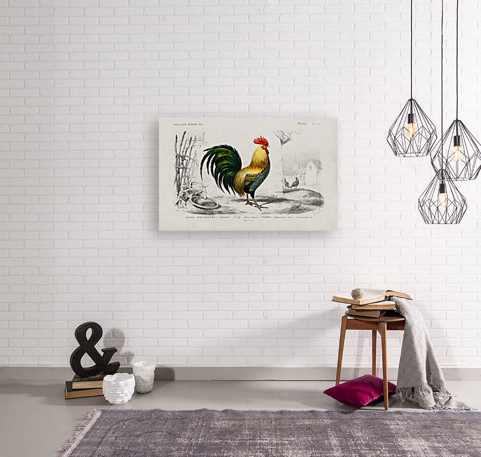 ictionnaire Universel D histoire Naturelle D Orbi 1694477606.4411 Reproduction