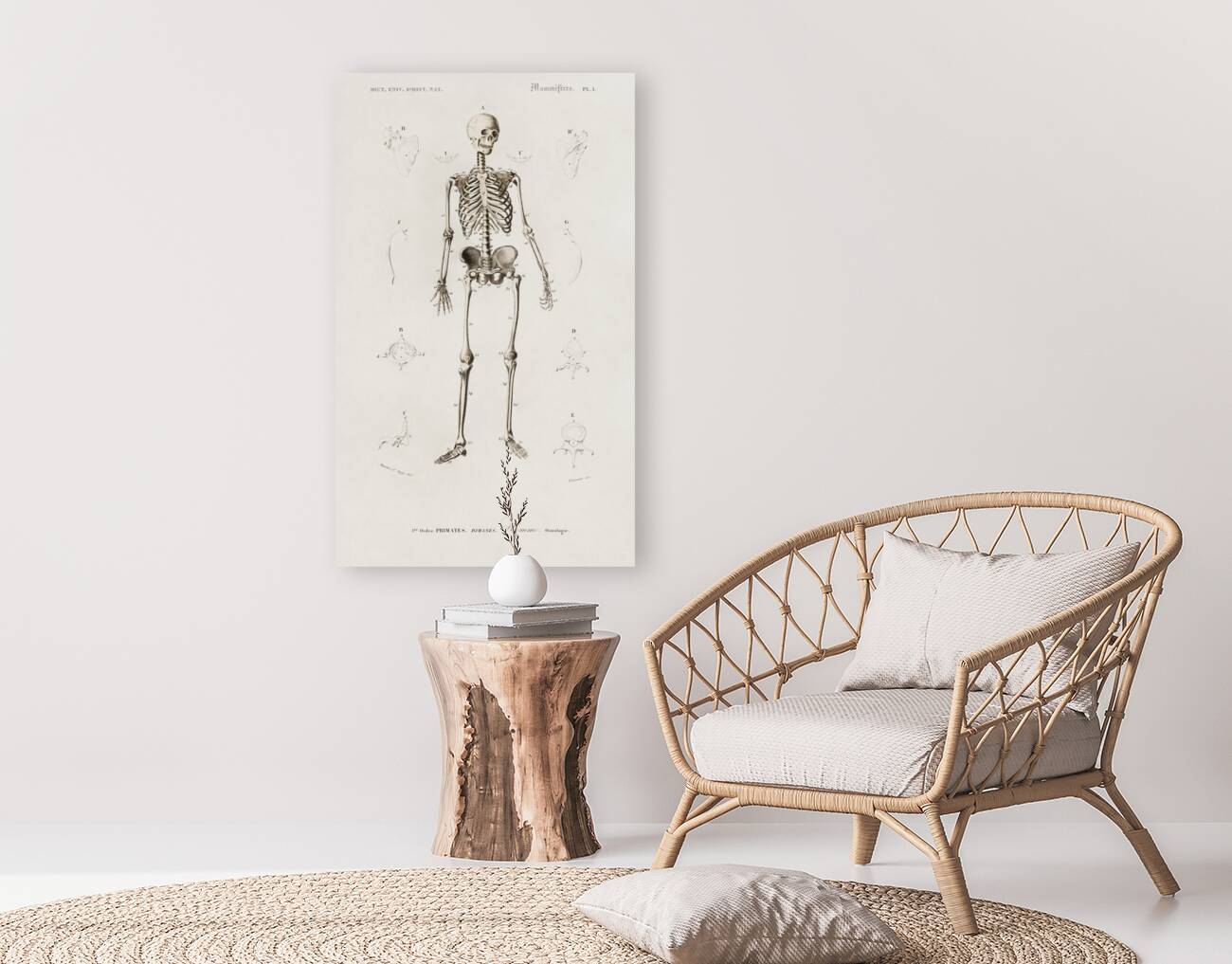 Different types of spiders Reproduction