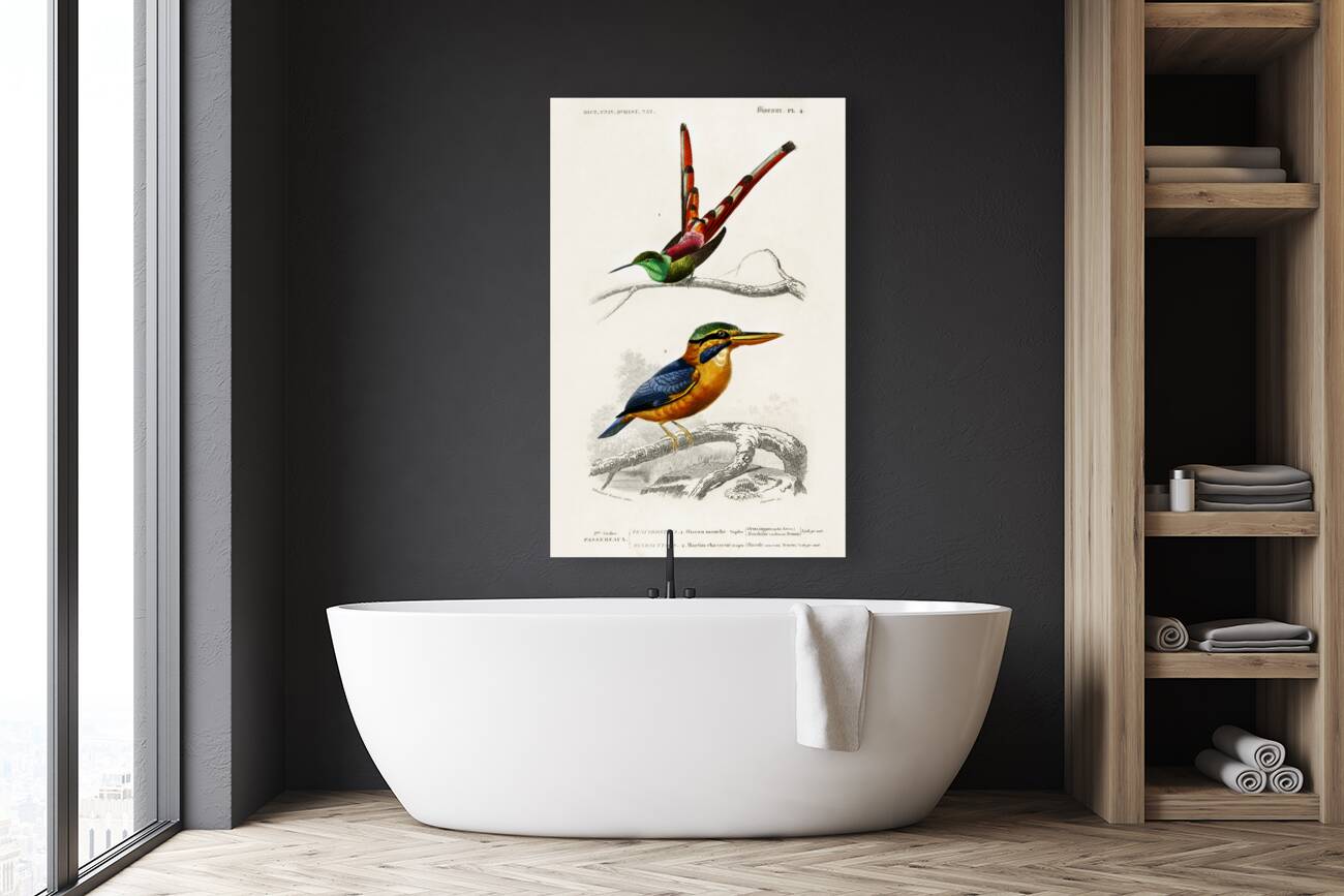 Different types of birds Reproduction