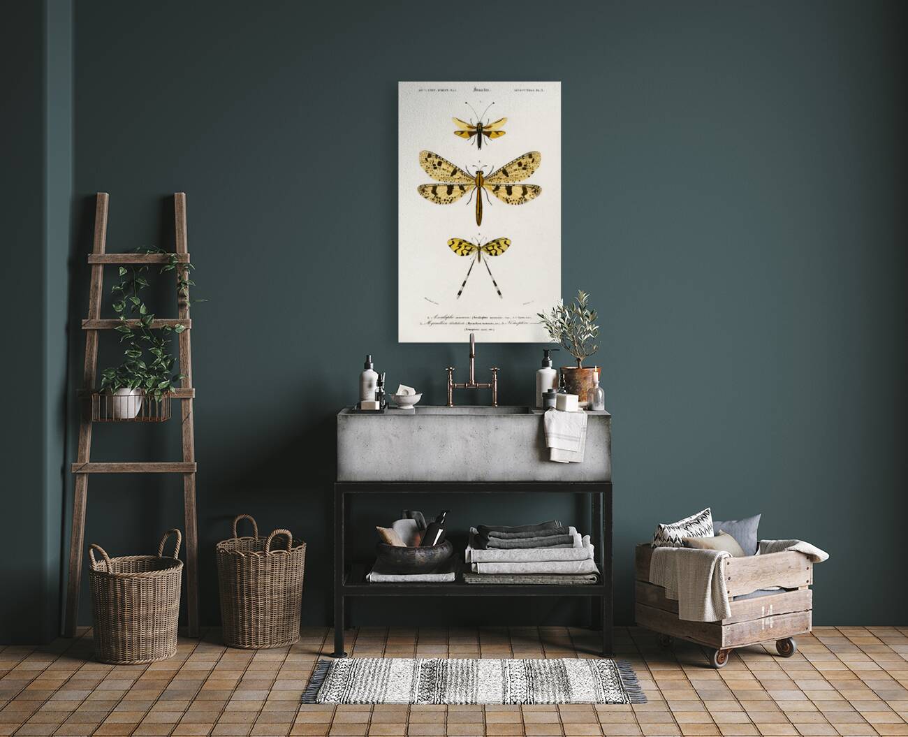 Collection of insects Reproduction